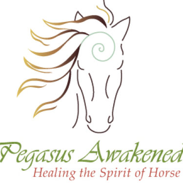 Pegasus Awakened